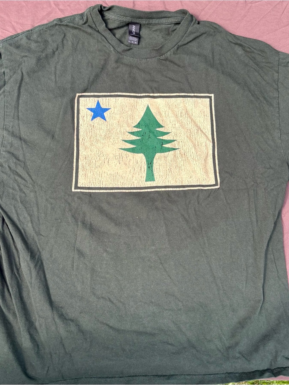 Forest Green Graphic Tee with Tree and Star Old Vermont Flag